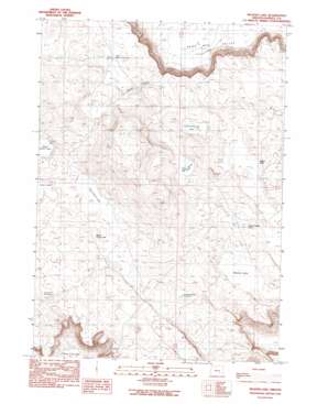 Weaver Lake topo map