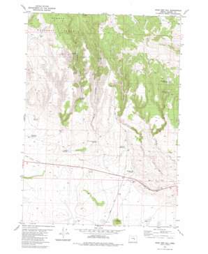 Sage Hen Hill USGS topographic map 43119e3