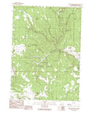 Bear Canyon Butte USGS topographic map 43119g4