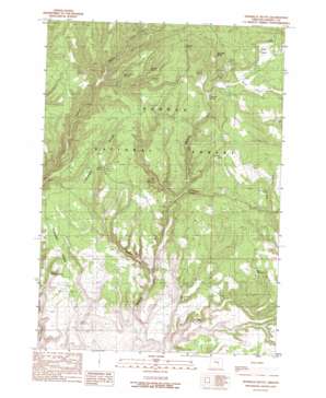 Donnelly Butte topo map