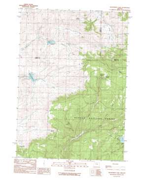 Delintment Lake USGS topographic map 43119h6