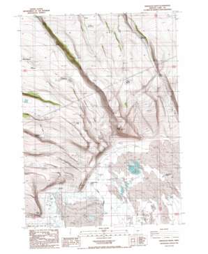 Sheeplick Draw USGS topographic map 43120a6