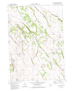 Chicago Valley USGS topographic map 43120d2