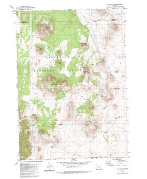 Fox Butte USGS topographic map 43120e7