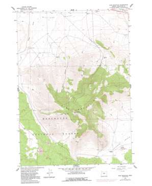 Pine Mountain USGS topographic map 43120g8