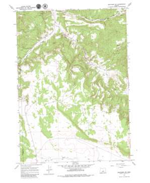 Rodman Ridge USGS topographic map 43120h6