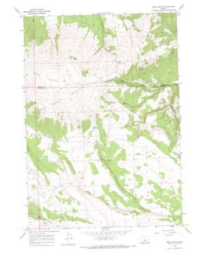 West Butte topo map