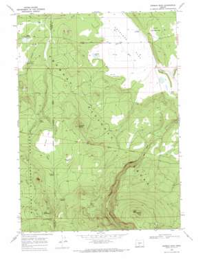 Rodman Rock USGS topographic map 43121a3