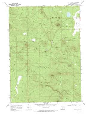 Bear Butte topo map