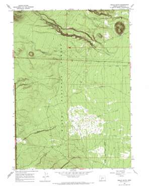 Welch Butte topo map