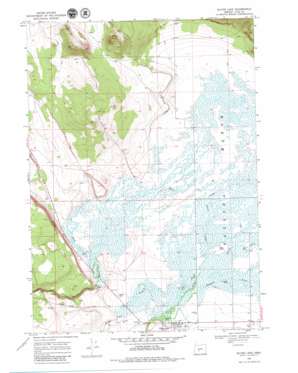 Silver Lake USGS topographic map 43121b1