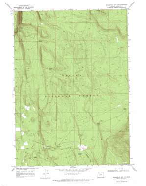 Sugarpine Mountain NW USGS topographic map 43121b6