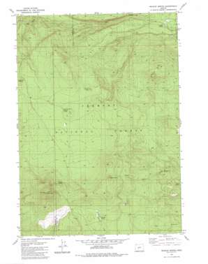 Wickiup Spring topo map