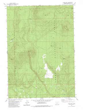 Wickiup Spring USGS topographic map 43121c4