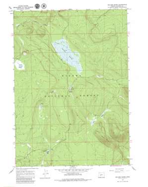 Sellers Marsh USGS topographic map 43121c5