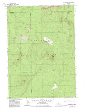 Spring Butte USGS topographic map 43121e3