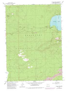 Paulina Peak USGS topographic map 43121f3