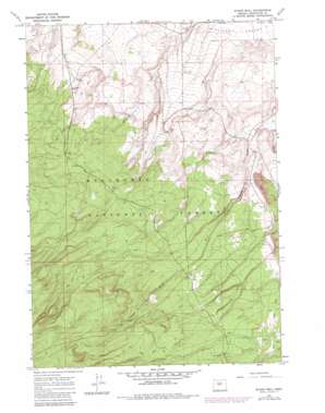 Evans Well topo map