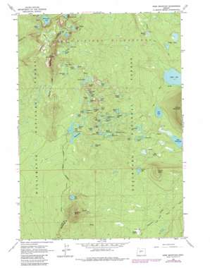 Irish Mountain USGS topographic map 43121g8