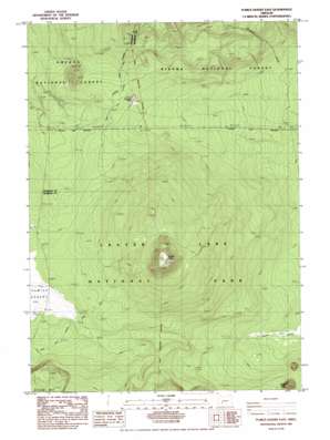 Diamond Lake USGS topographic map 43122a1