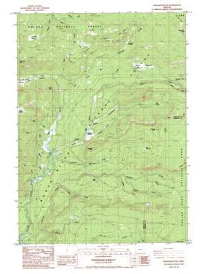 Hamaker Butte USGS topographic map 43122a3