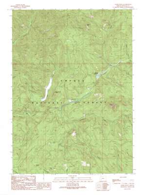 Acker Rock USGS topographic map 43122a6