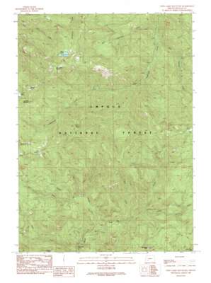 Twin Lakes Mountain USGS topographic map 43122b5