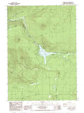 Lemolo Lake USGS topographic map 43122c2