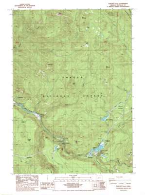 Toketee Falls USGS topographic map 43122c4