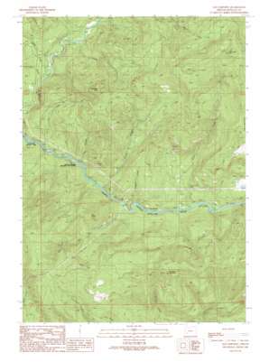 Old Fairview topo map