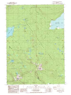 Cowhorn Mountain USGS topographic map 43122d1