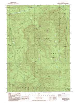 Rigdon Point USGS topographic map 43122d3