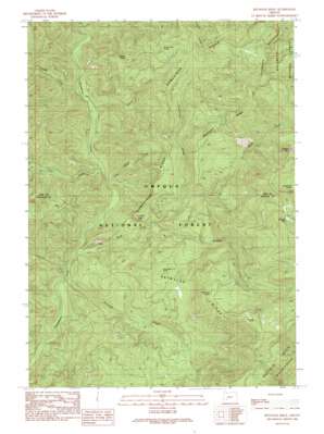 Bearbones Mountain USGS topographic map 43122d5