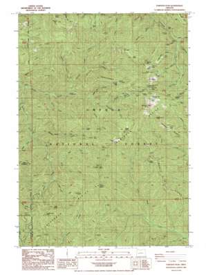 Fairview Peak USGS topographic map 43122e6