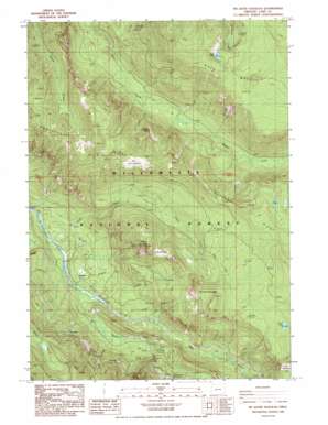 Mount David Douglas topo map