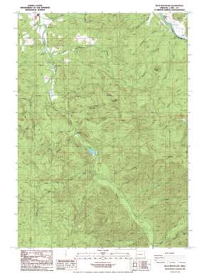 Blue Mountain USGS topographic map 43122f8