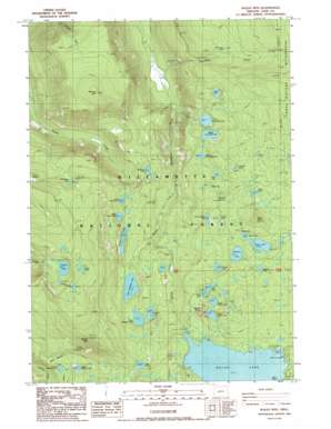 Waldo Mountain USGS topographic map 43122g1