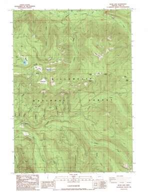 Blair Lake USGS topographic map 43122g2