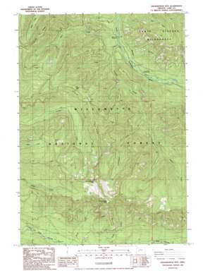 Grasshopper Mountain USGS topographic map 43122h2