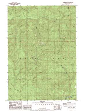 Sinker Mountain topo map