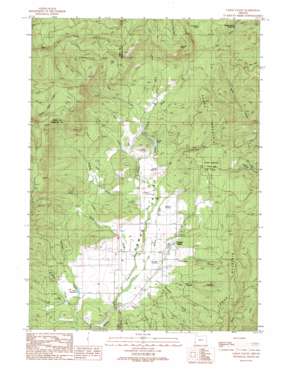 Camas Valley USGS topographic map 43123a6