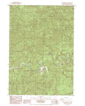 Twin Sisters USGS topographic map 43123g7