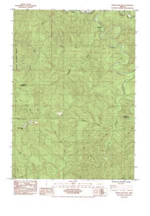 Roman Nose Mountain USGS topographic map 43123h6