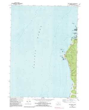 Cape Arago USGS topographic map 43124c4