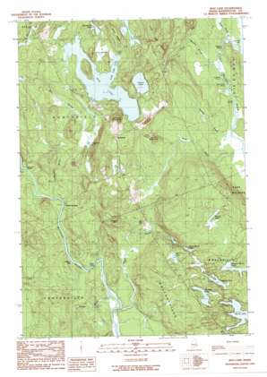 Bog Lake USGS topographic map 44067g5