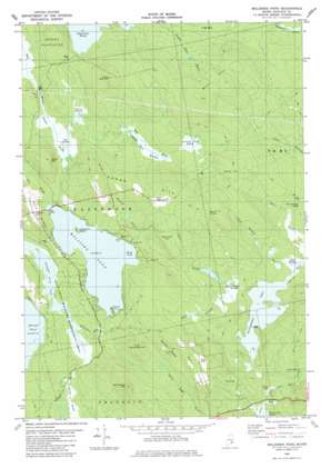 Molasses Pond USGS topographic map 44068f2