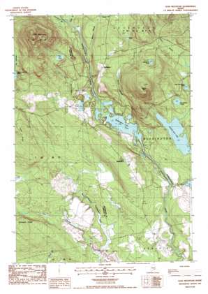 Lead Mountain USGS topographic map 44068g1