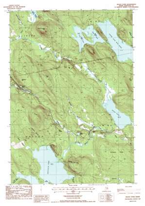 Rocky Pond USGS topographic map 44068g2