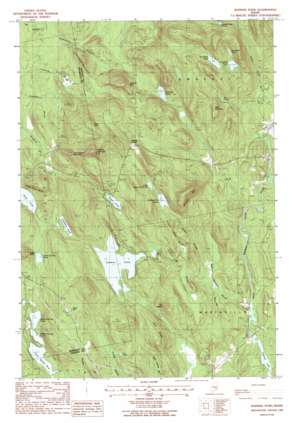 Hopkins Pond USGS topographic map 44068g4