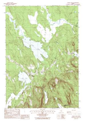 Chemo Pond USGS topographic map 44068g5